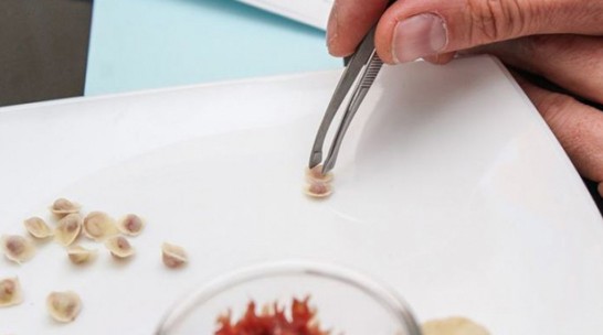 柔性電路板廠家：面皮用牙簽搟出，世界最小餃子有多重