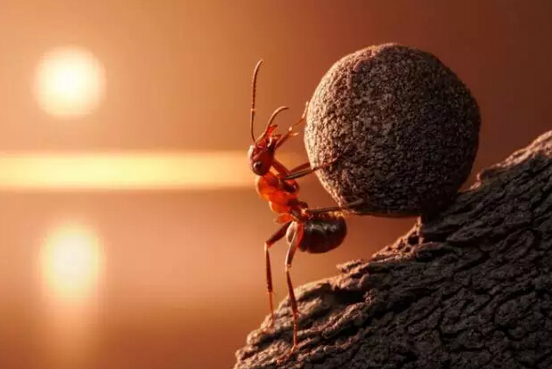 柔性線路板廠：2016年過去一半了，你過得怎么樣？