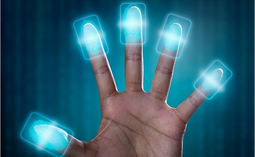 指紋識(shí)別柔性線路板科普：指紋識(shí)別的工作原理