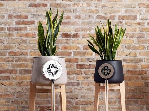 FPC廠聽(tīng)說(shuō)花盆也能凈化空氣？！