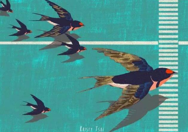 FPC廠之高考你能拼到什么程度？