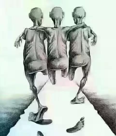 軟板小編今天被這張照片感動(dòng)了！