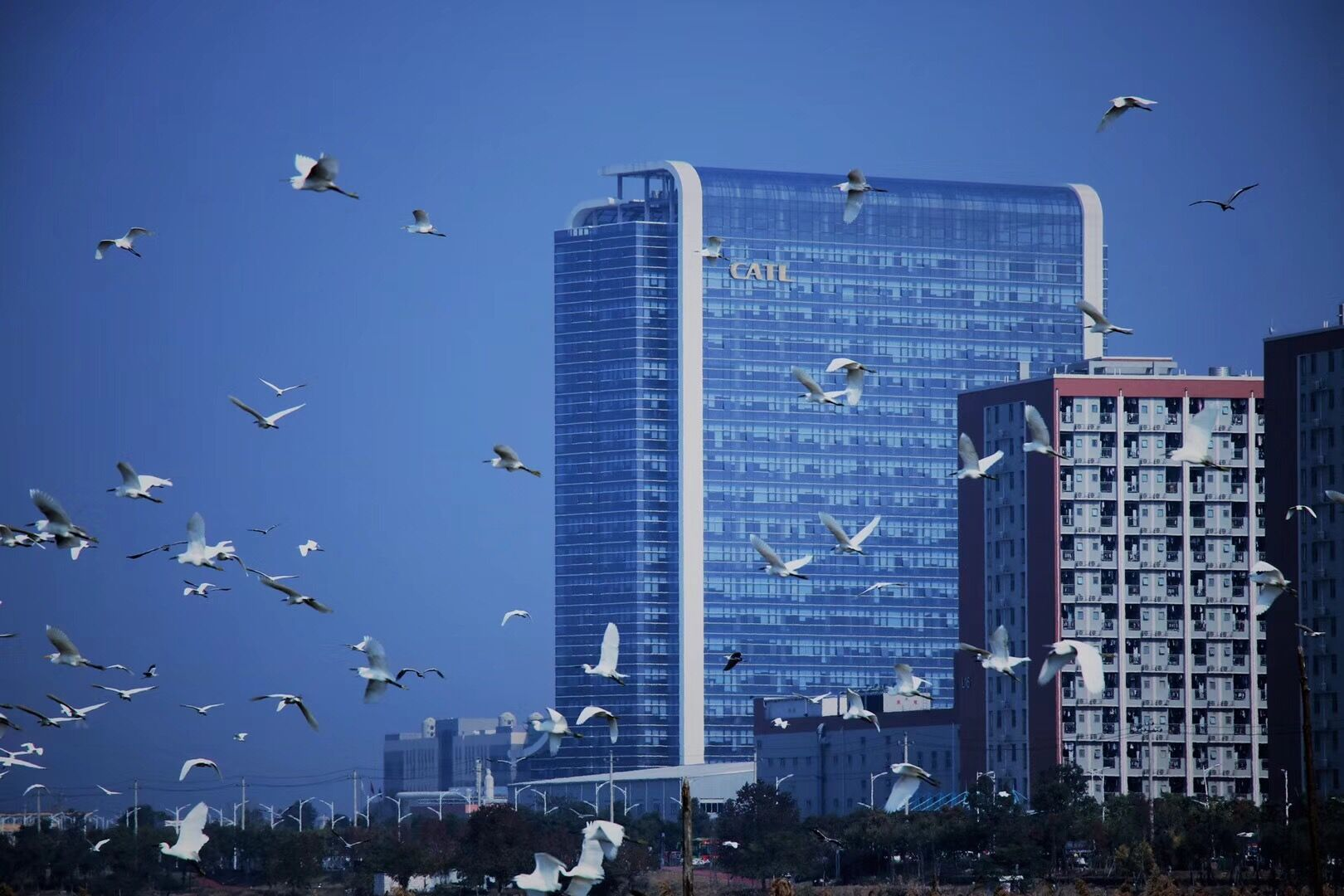 FPC廠：全球動力電池市場中國廠商“封神”！