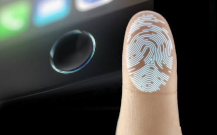指紋識別FPC之人類為什么要長出指紋？