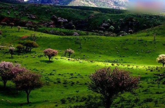 柔性電路板廠家