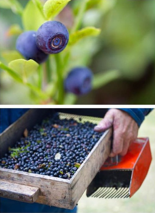 柔性電路板生產(chǎn)廠家